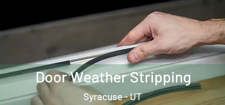 Door Weather Stripping Syracuse - UT