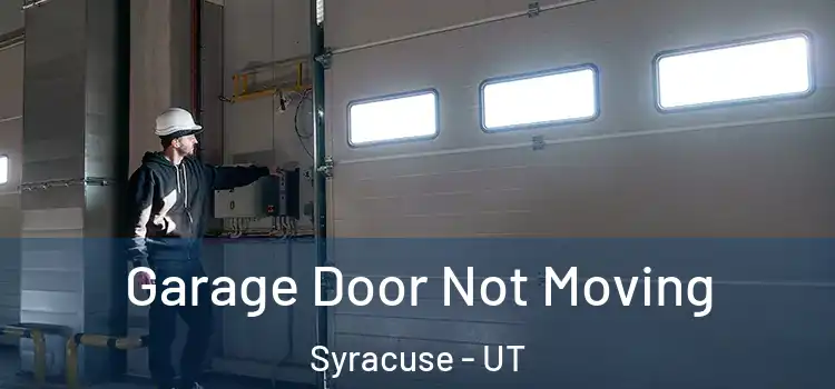  Garage Door Not Moving Syracuse - UT