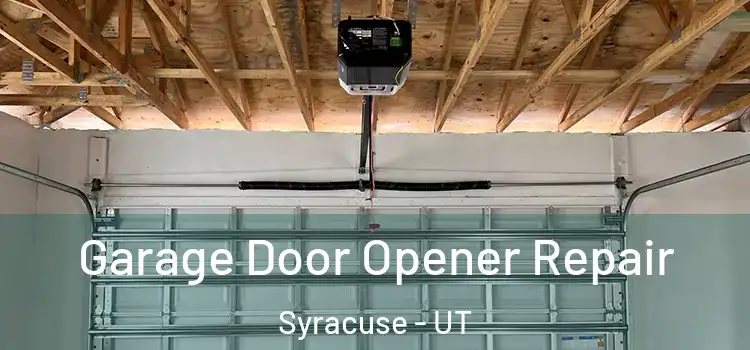  Garage Door Opener Repair Syracuse - UT