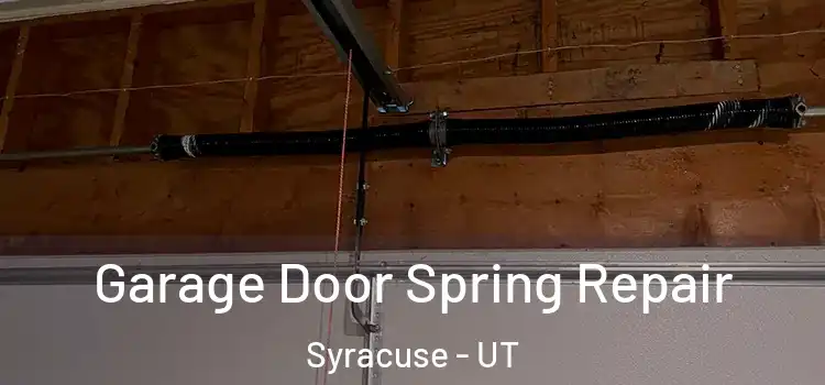  Garage Door Spring Repair Syracuse - UT