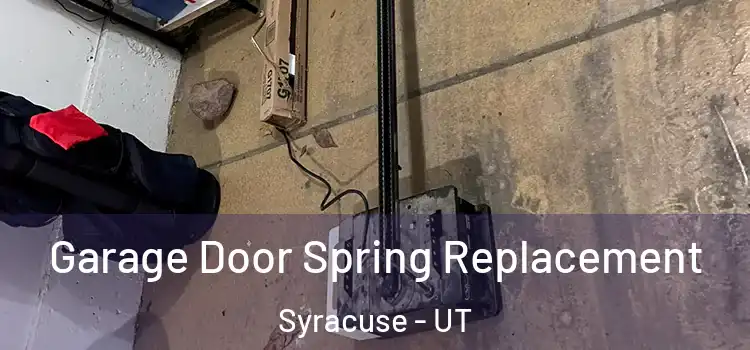  Garage Door Spring Replacement Syracuse - UT
