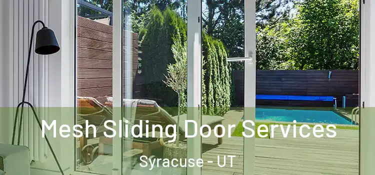 Mesh Sliding Door Services Syracuse - UT